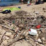 E se a ci� si aggiunge la perenne assenza di bidoni della spazzatura sulle spiagge libere, si comprende come spesso sul litorale si crei un vero e proprio immondezzaio
